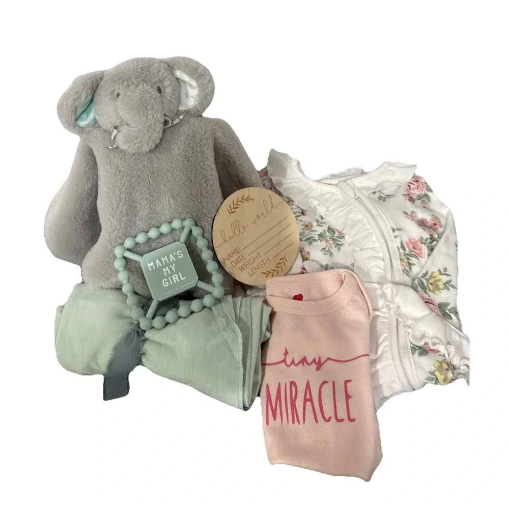 Baby‎ Girl Elephant Gift Basket, Baby Shower Infant Essentials For Newborn Girl